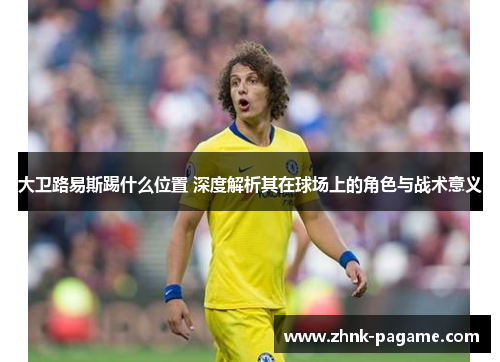 大卫路易斯踢什么位置 深度解析其在球场上的角色与战术意义