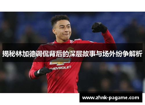 揭秘林加德调侃背后的深层故事与场外纷争解析