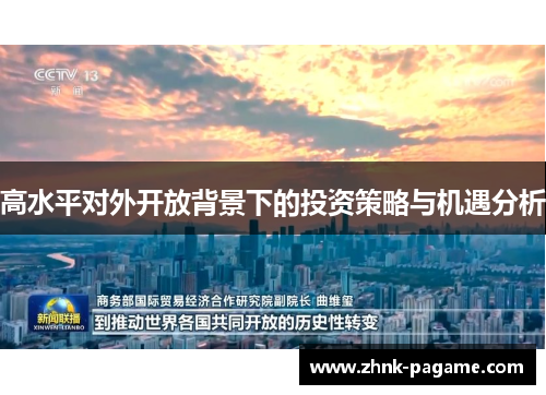 高水平对外开放背景下的投资策略与机遇分析